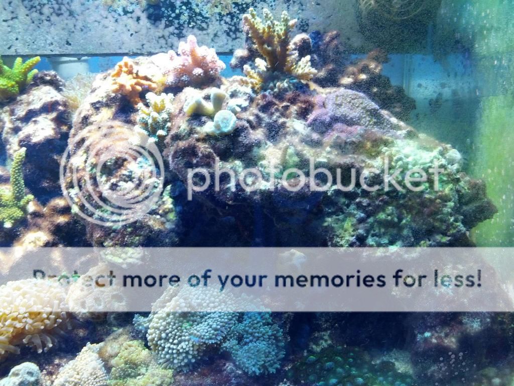 IMG952012111095130336.jpg