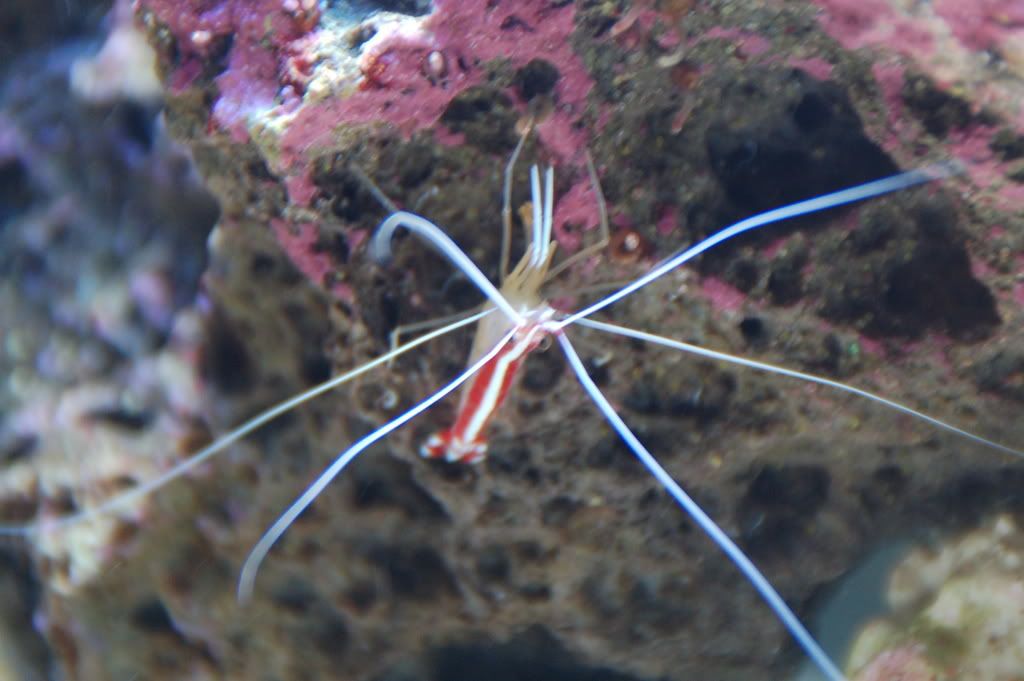 DSC_0023.jpg