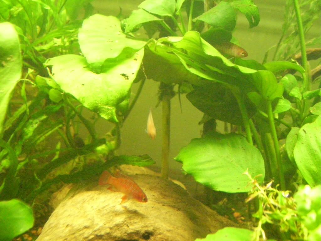100_4650.jpg