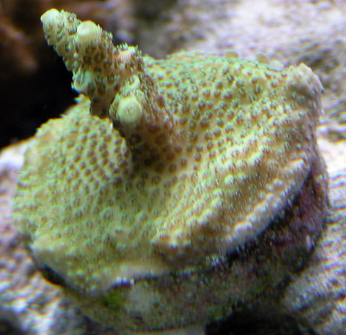 3090455992_d7938f23e5.jpg