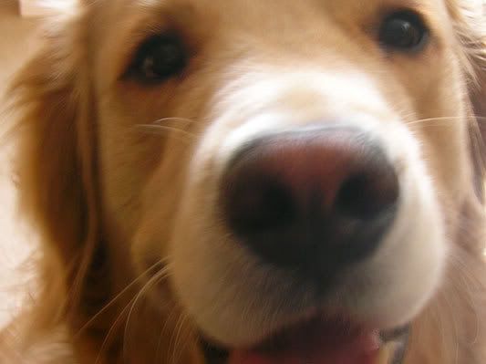10_butterscody_4.jpg