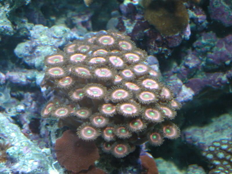 P1010028.jpg