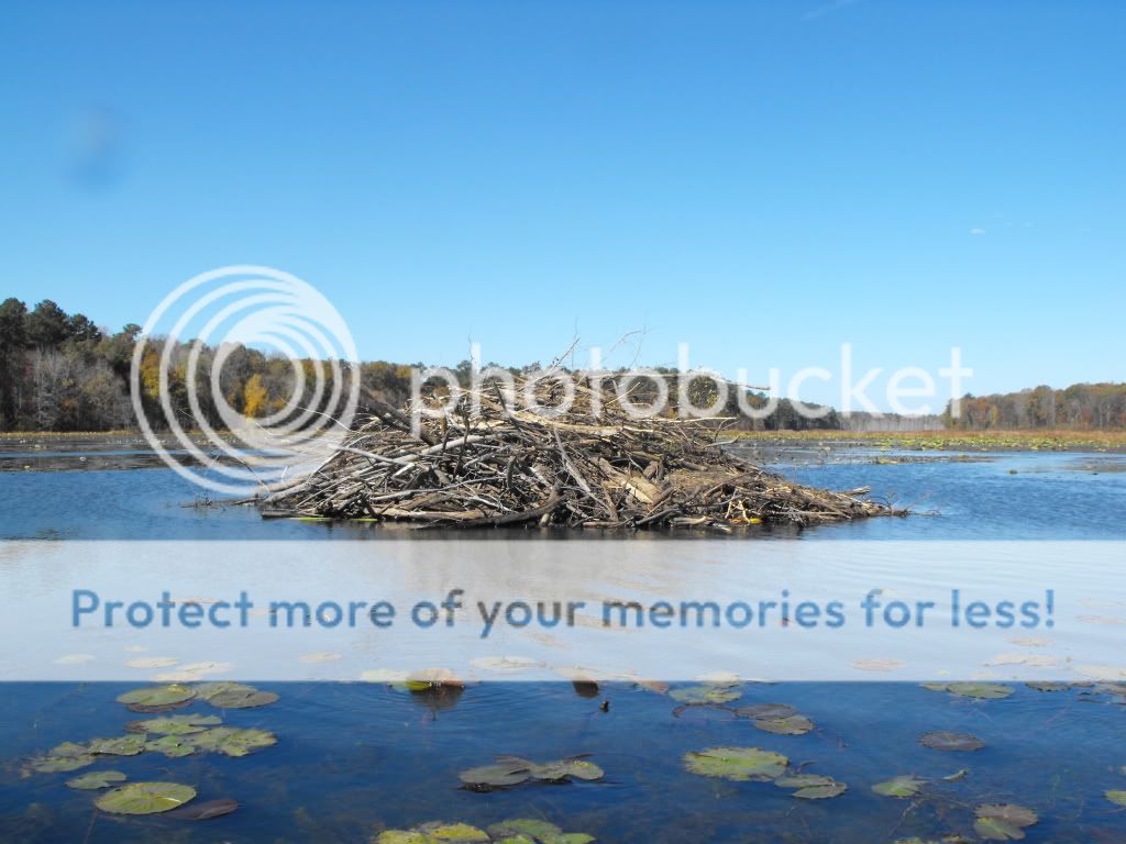DSCF9014.jpg