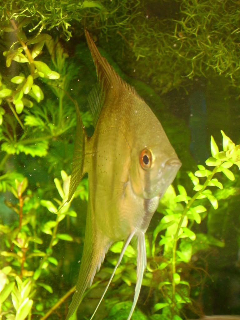 IMGP0087.jpg