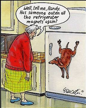 fridge.gif