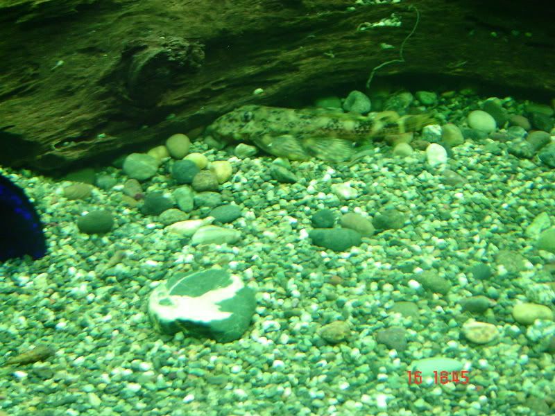 DSC03127.jpg