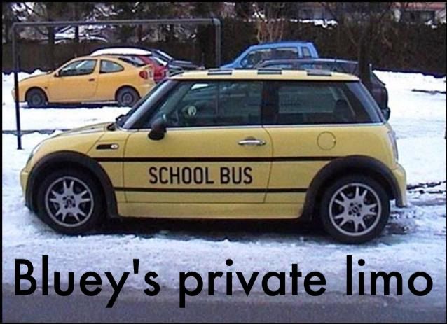 short_20bus.jpg