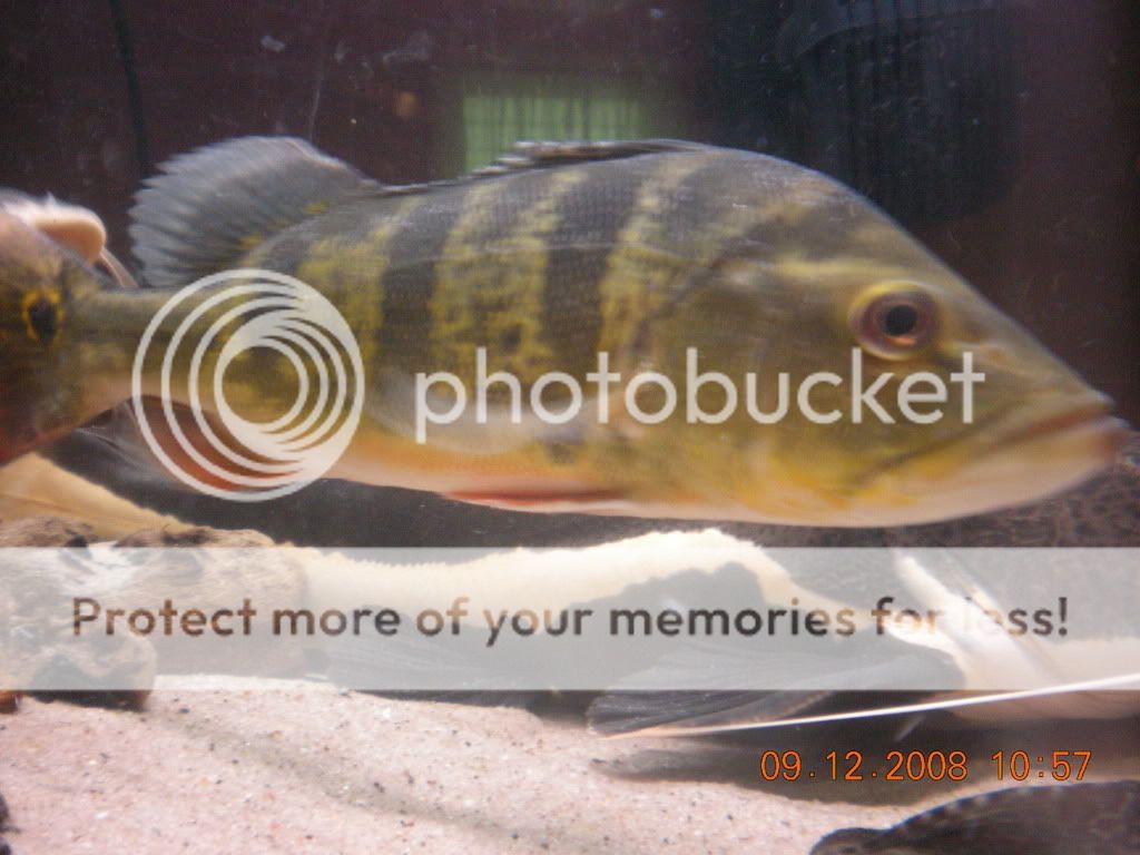DSCN0926.jpg