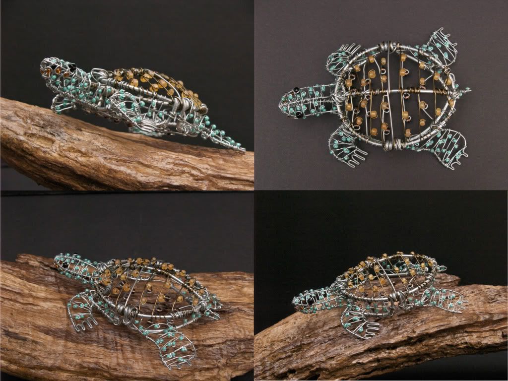 LittleTerrapin.jpg