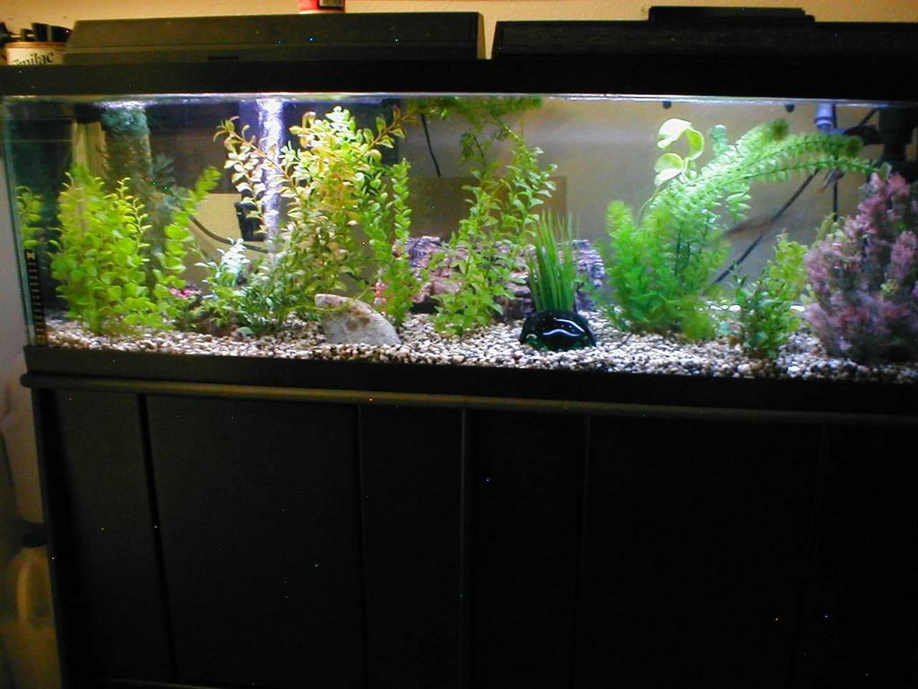 40%20Gallon%2009122005.jpg