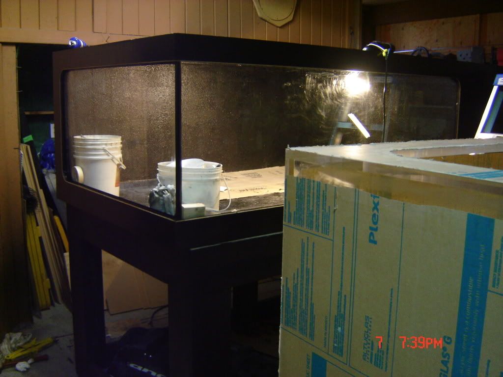 DSC04221.jpg
