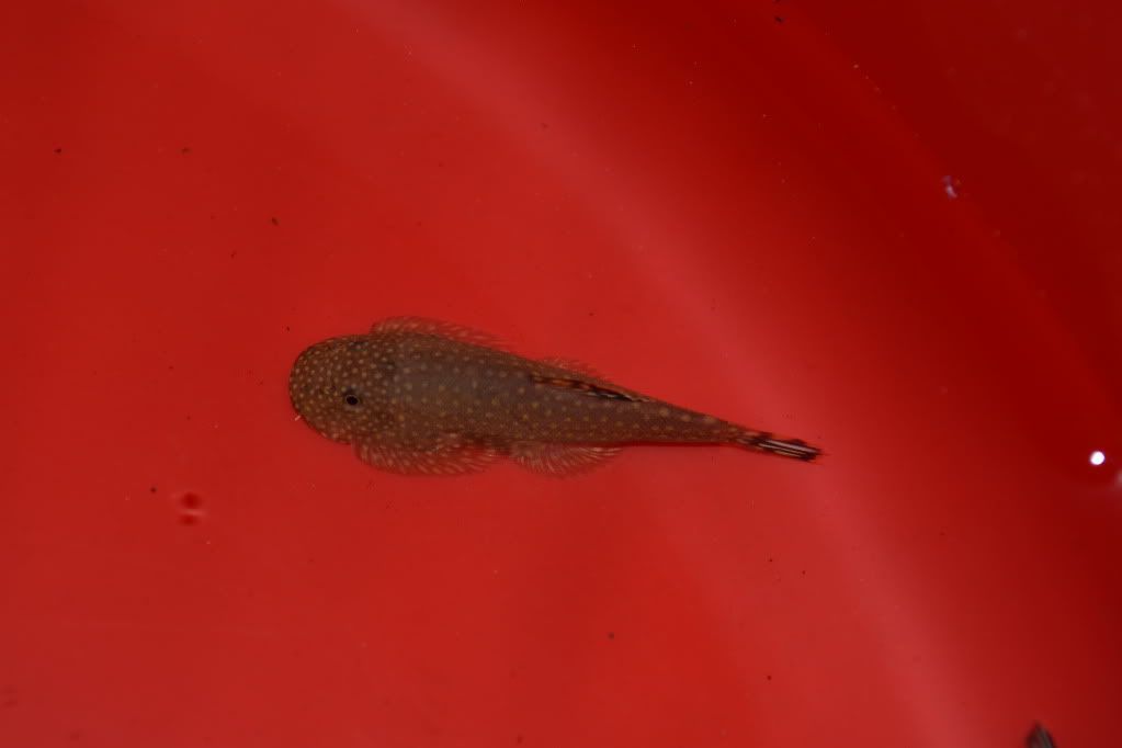 DSC_0447.jpg