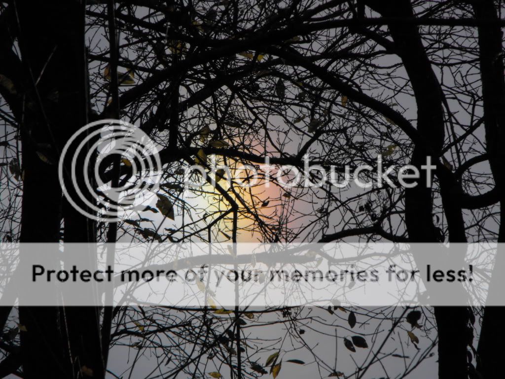 DSCF3071.jpg