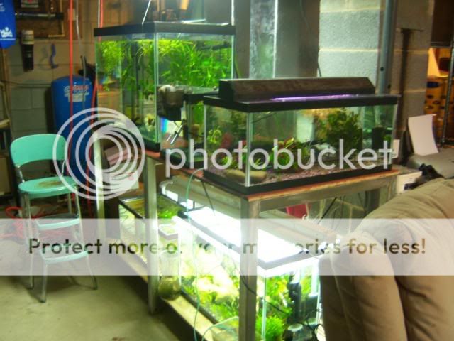 updates61709030.jpg