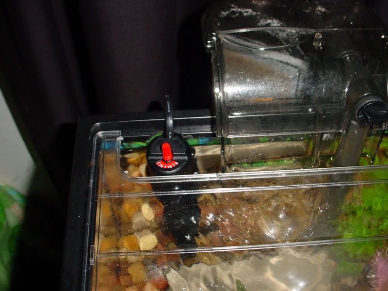 66g_25w-heater1a.jpg