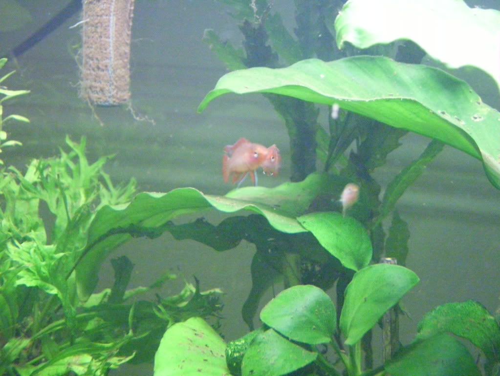 100_4662.jpg