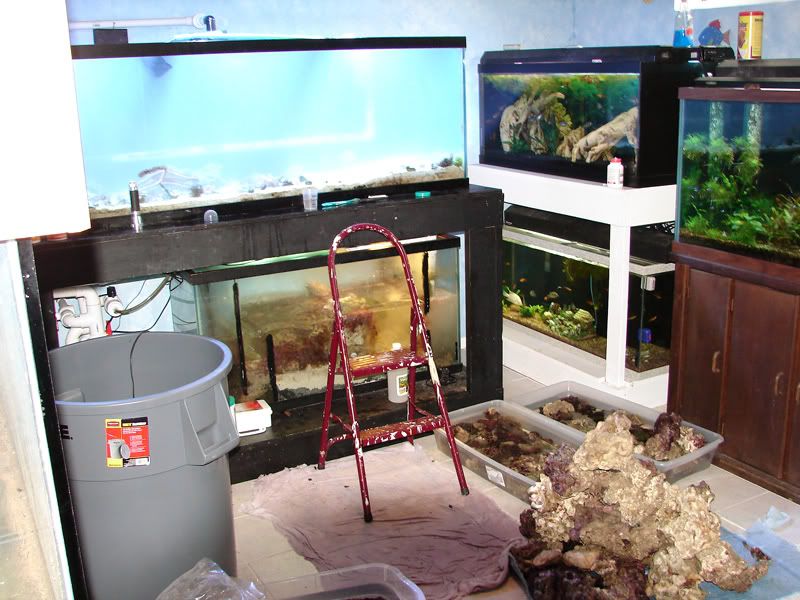 crabhunt.jpg