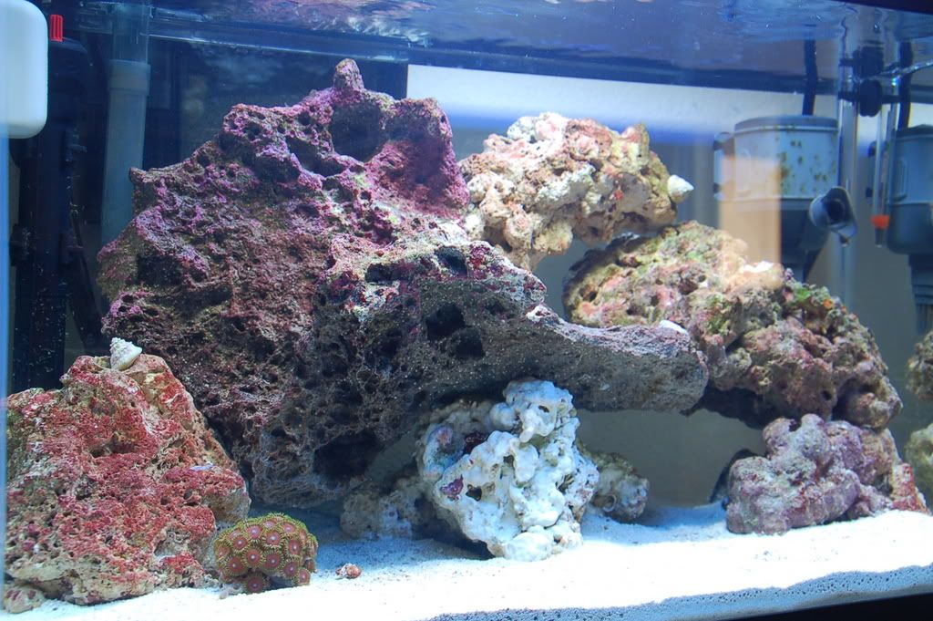 DSC_0381.jpg
