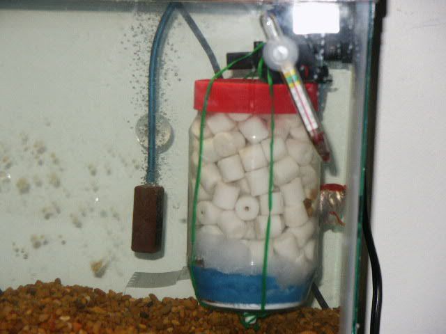 PICT0002.jpg