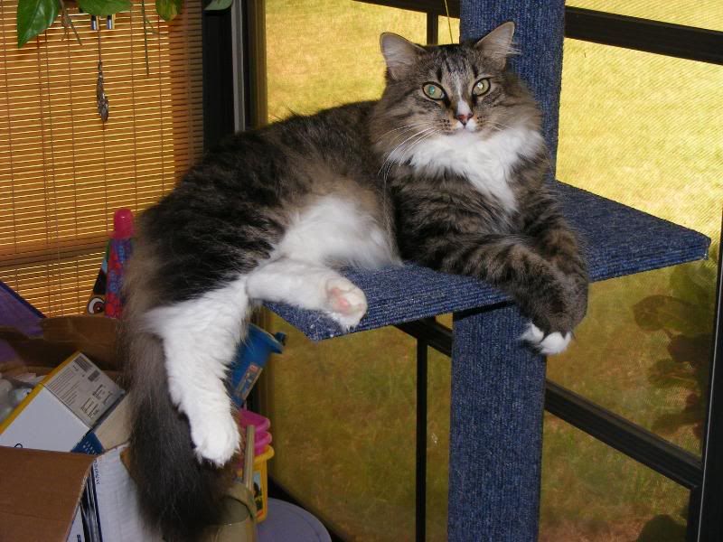 DSCF4378.jpg