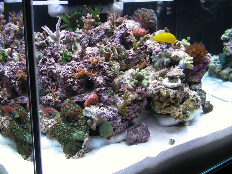3090711044_61f3594bb8_o.jpg