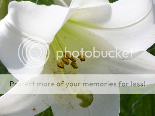 DSCN3985.jpg