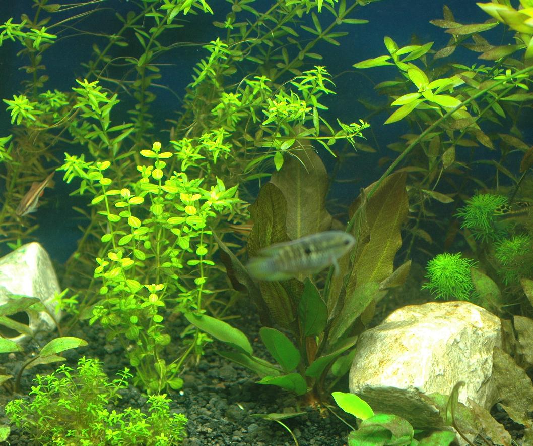 DSC_2653.JPG
