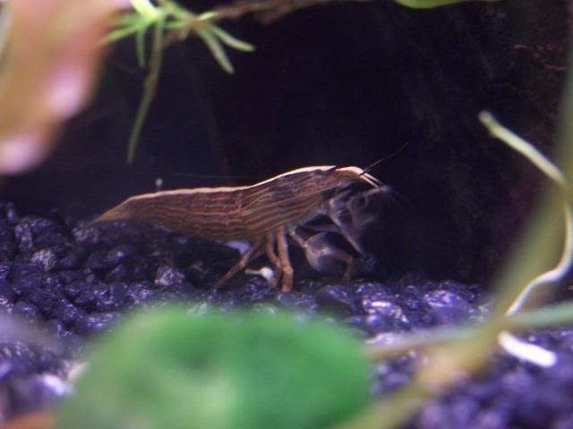 picture030.jpg