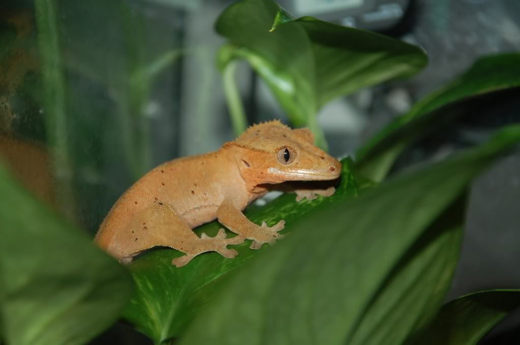 DSC_0013.jpg