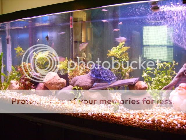 PICT0015.jpg