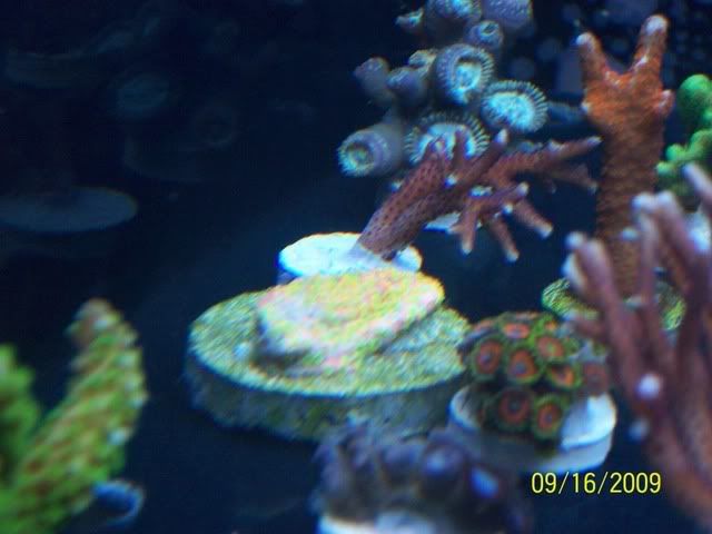 100_2261.jpg