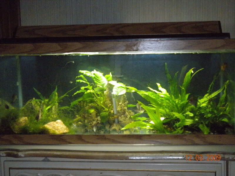 DSCN0097.jpg