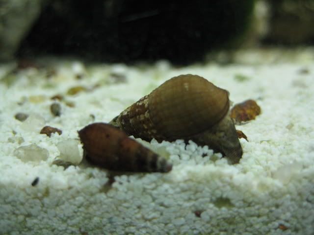 IMG_0352.jpg