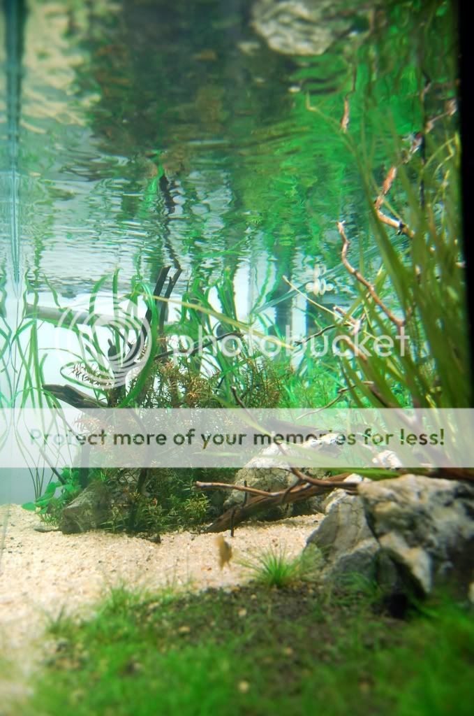 ram30.jpg