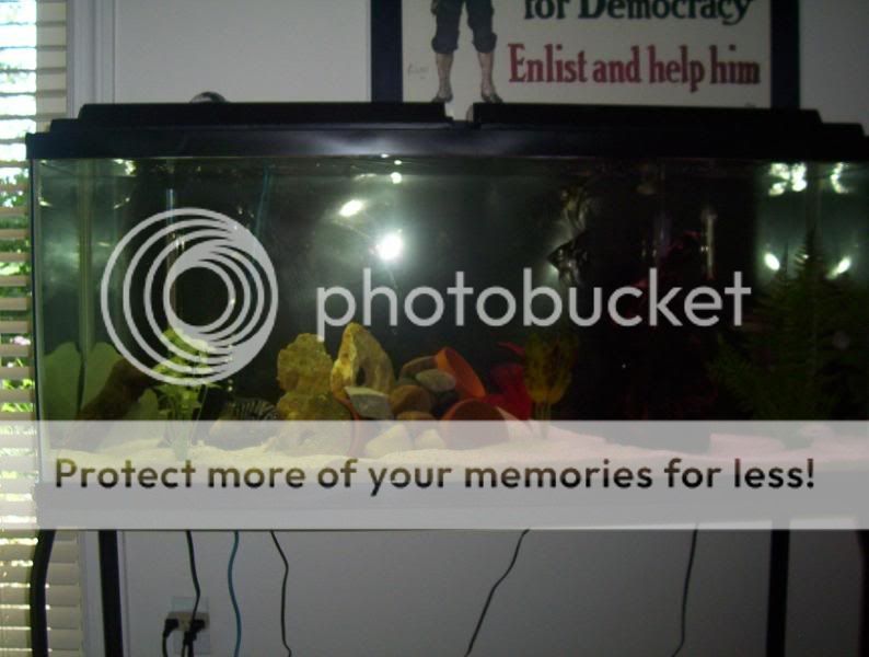 100_8503.jpg