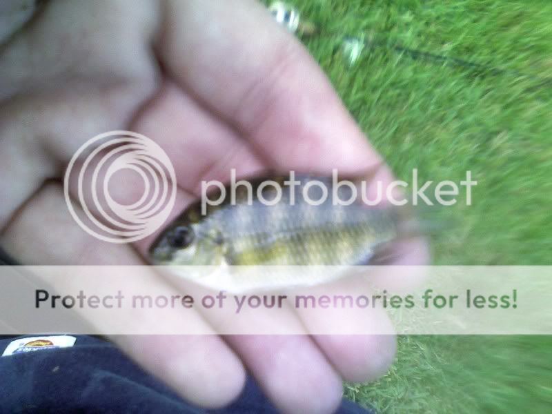 PIC-0076.jpg