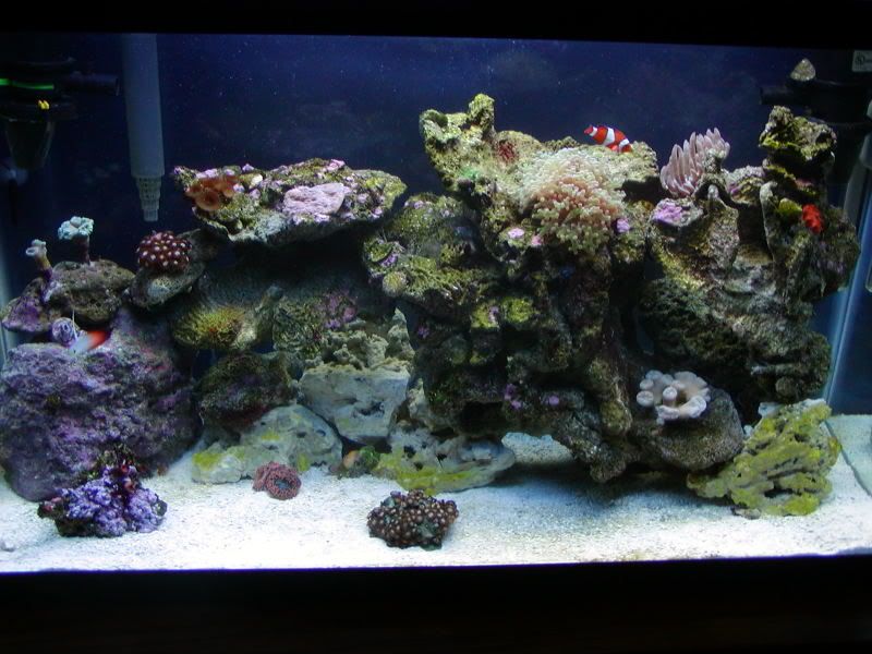 swtank025.jpg