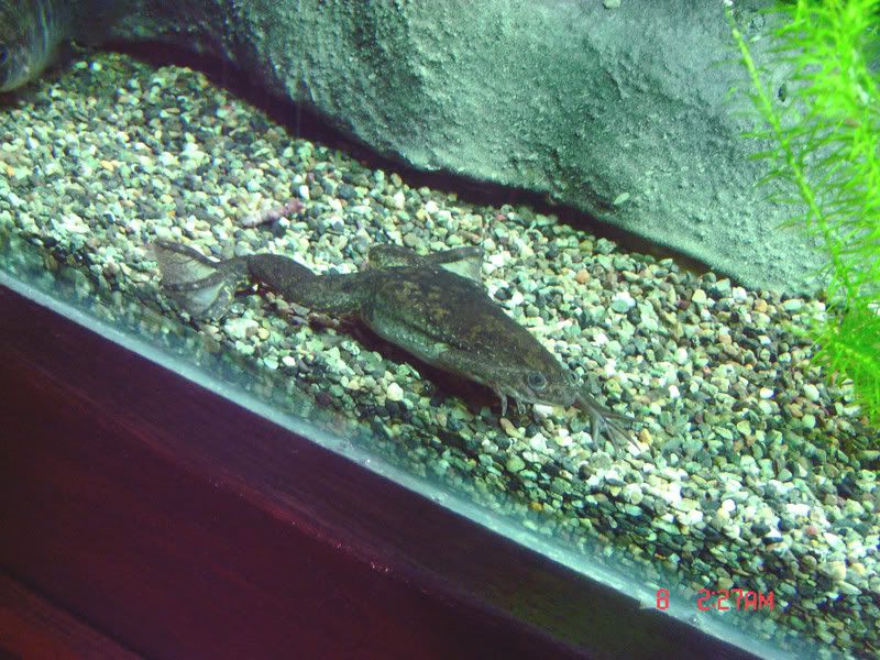 DSC00791.jpg
