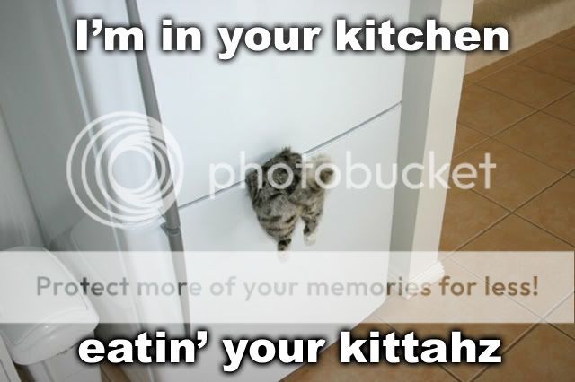 eatinkittahzte3.jpg