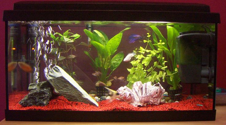 pict0073.jpg