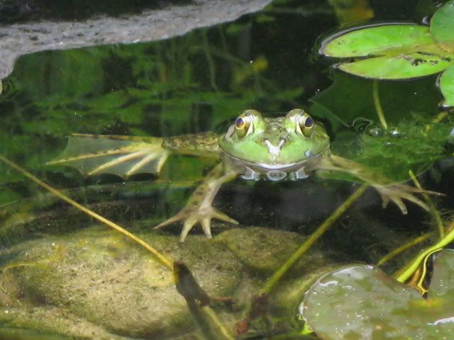 img_0344.jpg