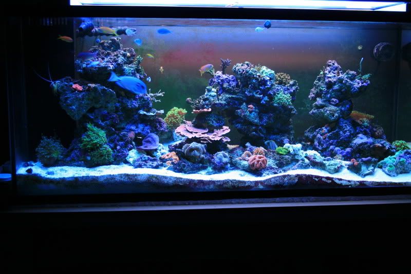 tankupdatefeb10001.jpg