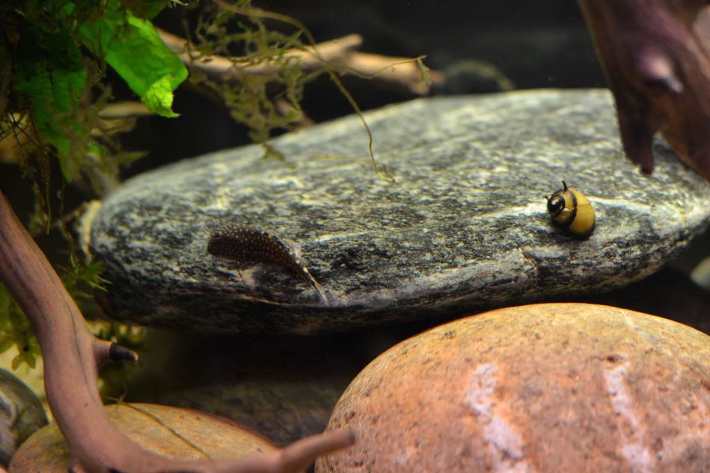 DSC_0432.jpg