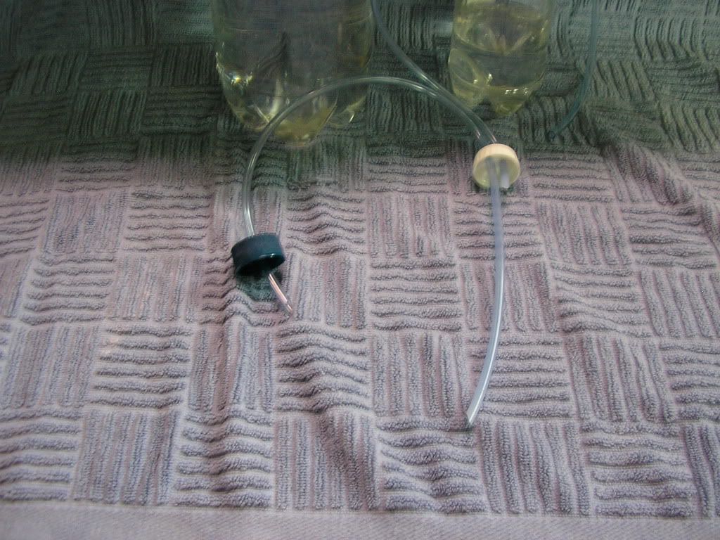Picture222.jpg