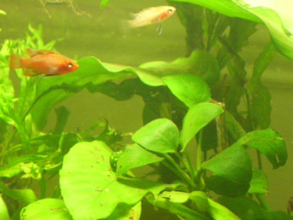 100_4657.jpg