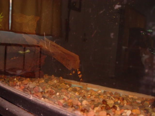 DSC03922.jpg