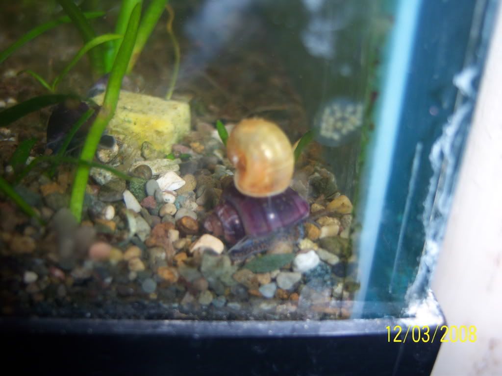 100_1142.jpg