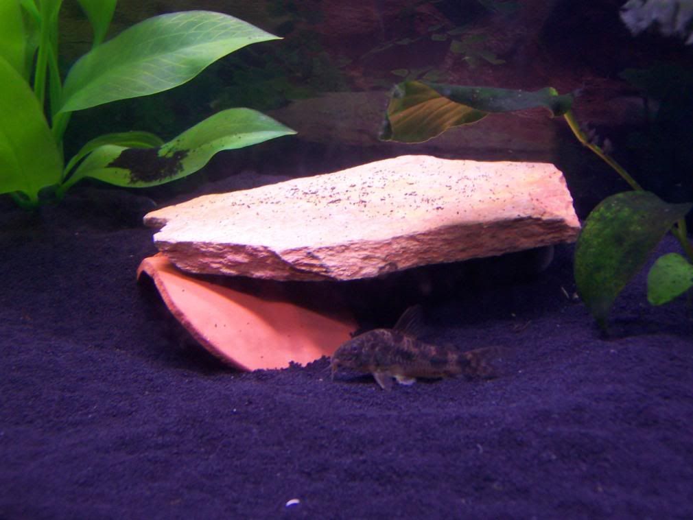 100_9356.jpg