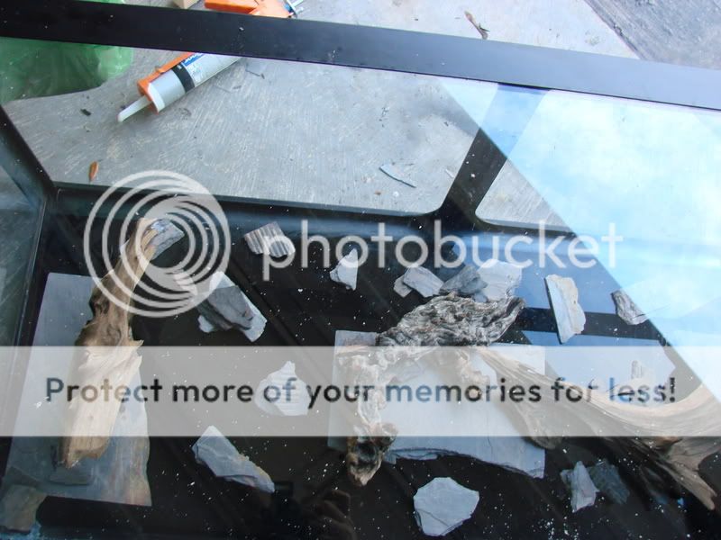 background004.jpg