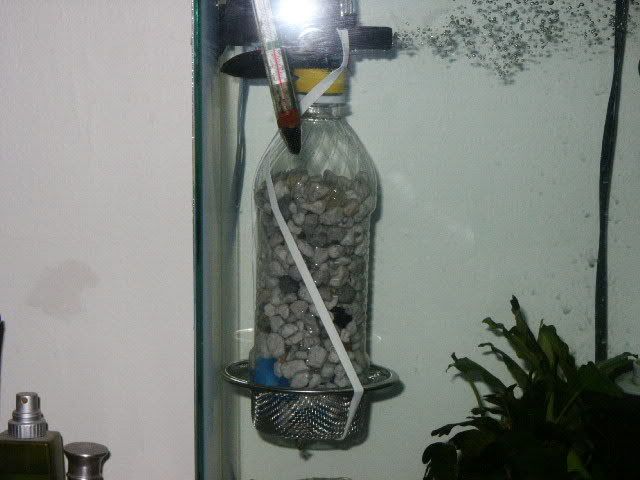 PICT0002_2.jpg